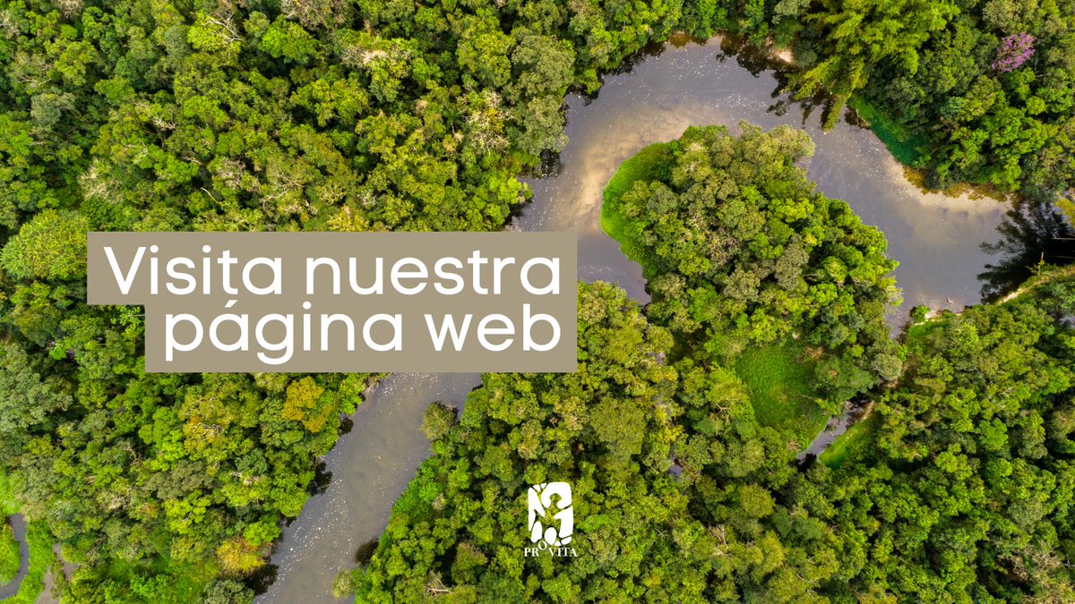 provita_ong's tweet image. #InfoProvita 🌐 ¿Conoces nuestra página web?
Te invitamos a visitarla para explorar más sobre nuestra organización, consultar nuestras publicaciones y mantenerte al tanto de las últimas noticias de nuestros proyectos.
👉 provita.org.ve
