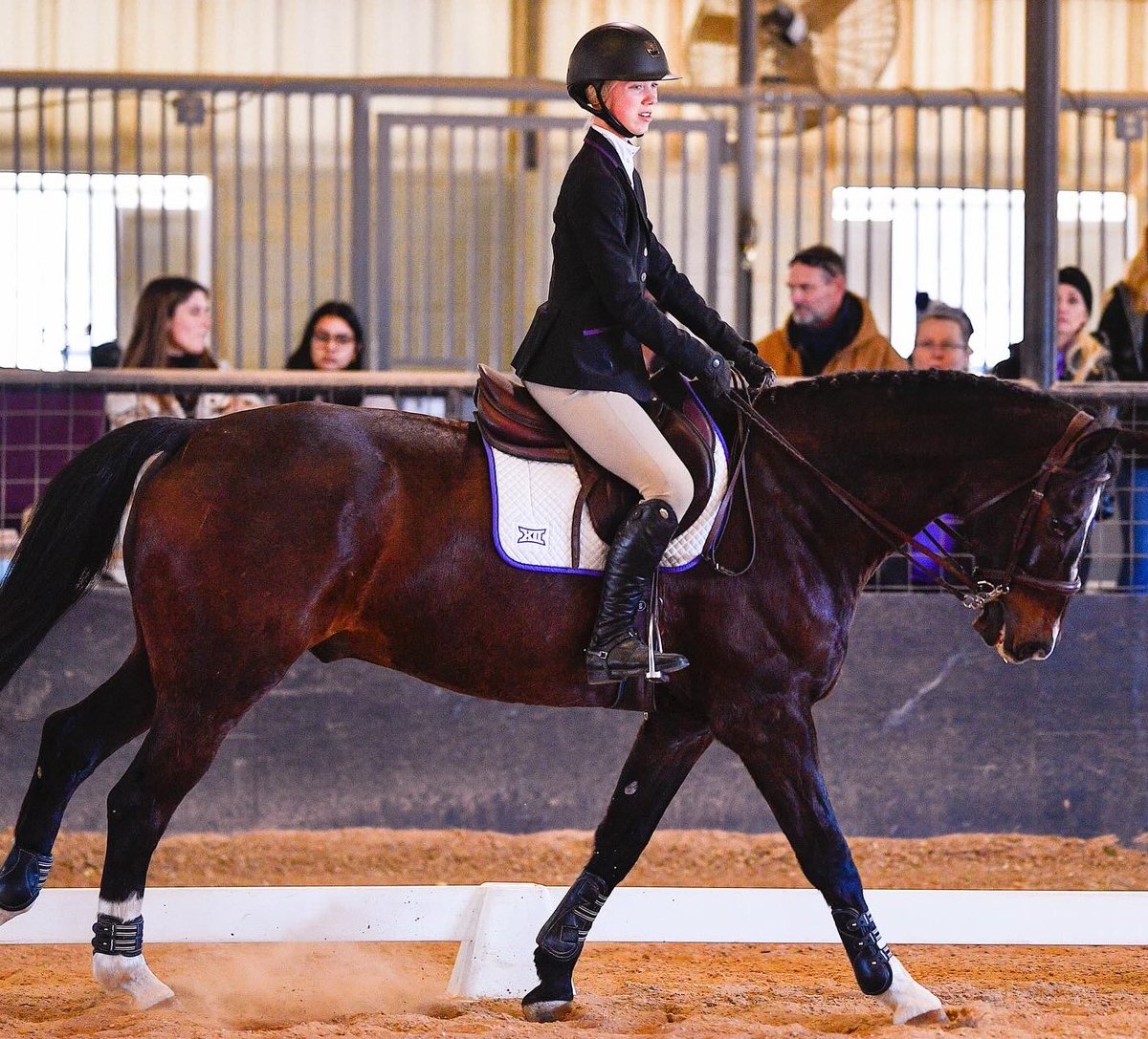 TCUWEquestrian's tweet photo. 𝐌𝐞𝐞𝐭 𝐨𝐮𝐫 𝟐𝟎𝟐𝟒-𝟐𝟓 𝐜𝐚𝐩𝐭𝐚𝐢𝐧���: 𝐄𝐦𝐲 𝐋𝐮𝐜𝐢𝐛𝐞𝐥𝐥𝐨💜

“I'm looking forward to seeing how we develop as a team and leading the team to new heights. I believe we have something special here. Go Frogs!”

#GoFrogs x #leavenodoubt https://t.co/I6HqRUqXZ2