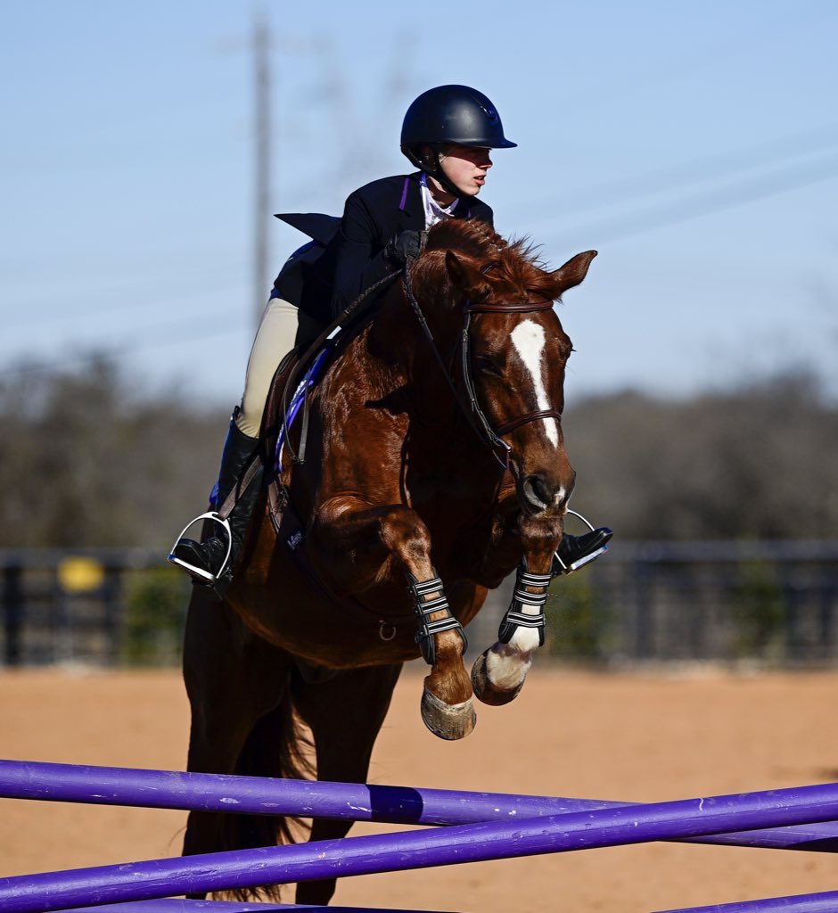 TCUWEquestrian's tweet photo. 𝐌𝐞𝐞𝐭 𝐨𝐮𝐫 𝟐𝟎𝟐𝟒-𝟐𝟓 𝐜𝐚𝐩𝐭𝐚𝐢𝐧���: 𝐄𝐦𝐲 𝐋𝐮𝐜𝐢𝐛𝐞𝐥𝐥𝐨💜

“I'm looking forward to seeing how we develop as a team and leading the team to new heights. I believe we have something special here. Go Frogs!”

#GoFrogs x #leavenodoubt https://t.co/I6HqRUqXZ2