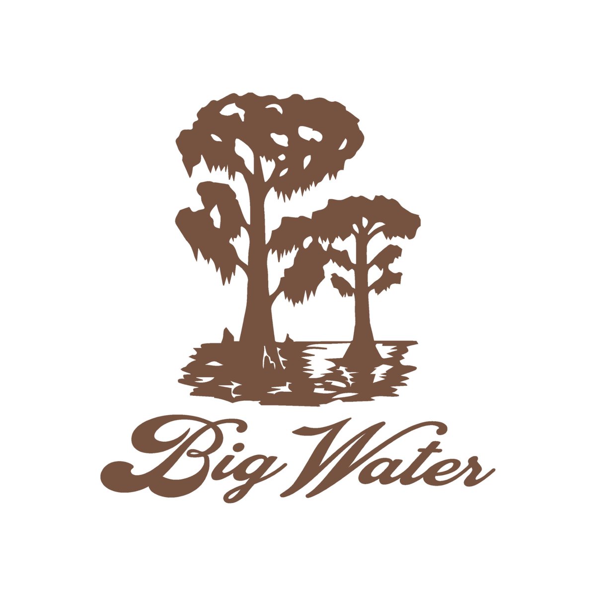 In a world characterized by division and discord, bigwatercollective.com stands for hope and unity - believing in the profound and transformative power of music to bring people together, heal wounds, and create a shared space to connect when policies and ideologies fall short.