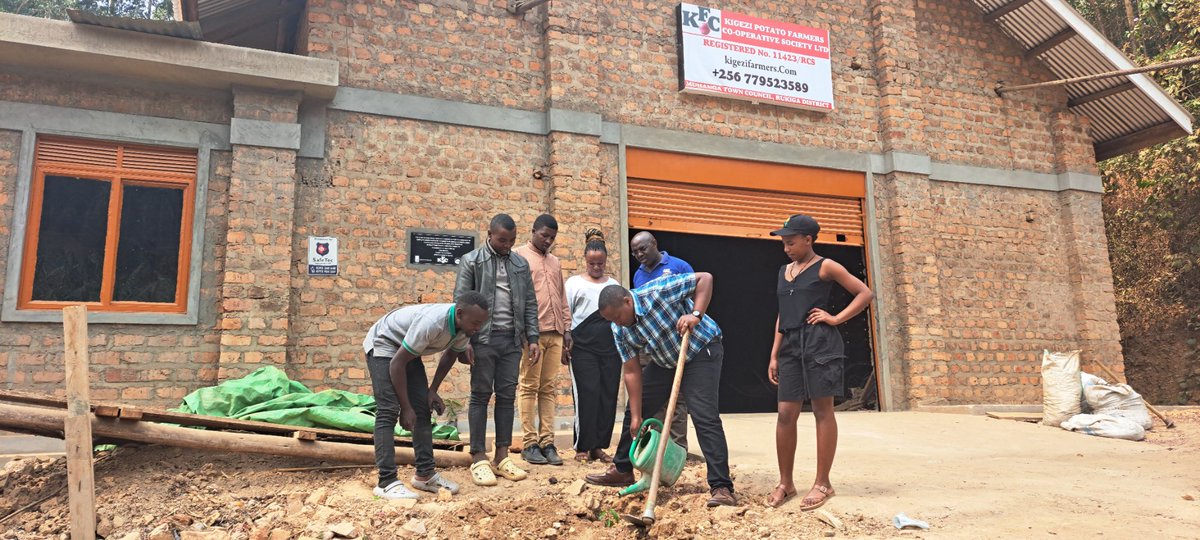 I visited Kigezi Potato Farmers Cooperative, a youth-led initiative making strides in agriculture! They’ve bulked 60 tons of onions and built a new storage facility. I encouraged them to adopt CSA practices and planted a tree named "Youngsters" to mark their progress.