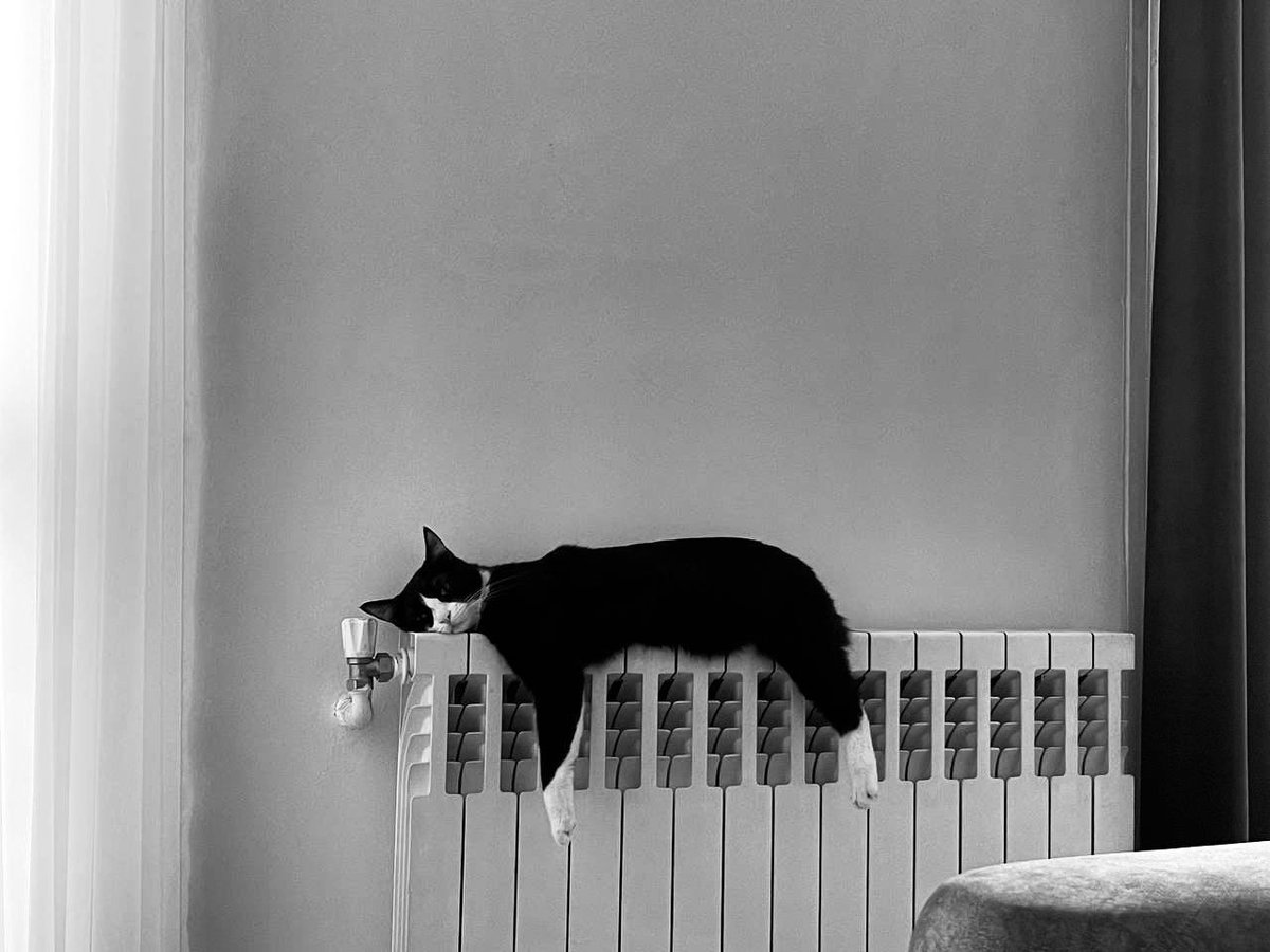 حالت چطوره؟
خوبم من.