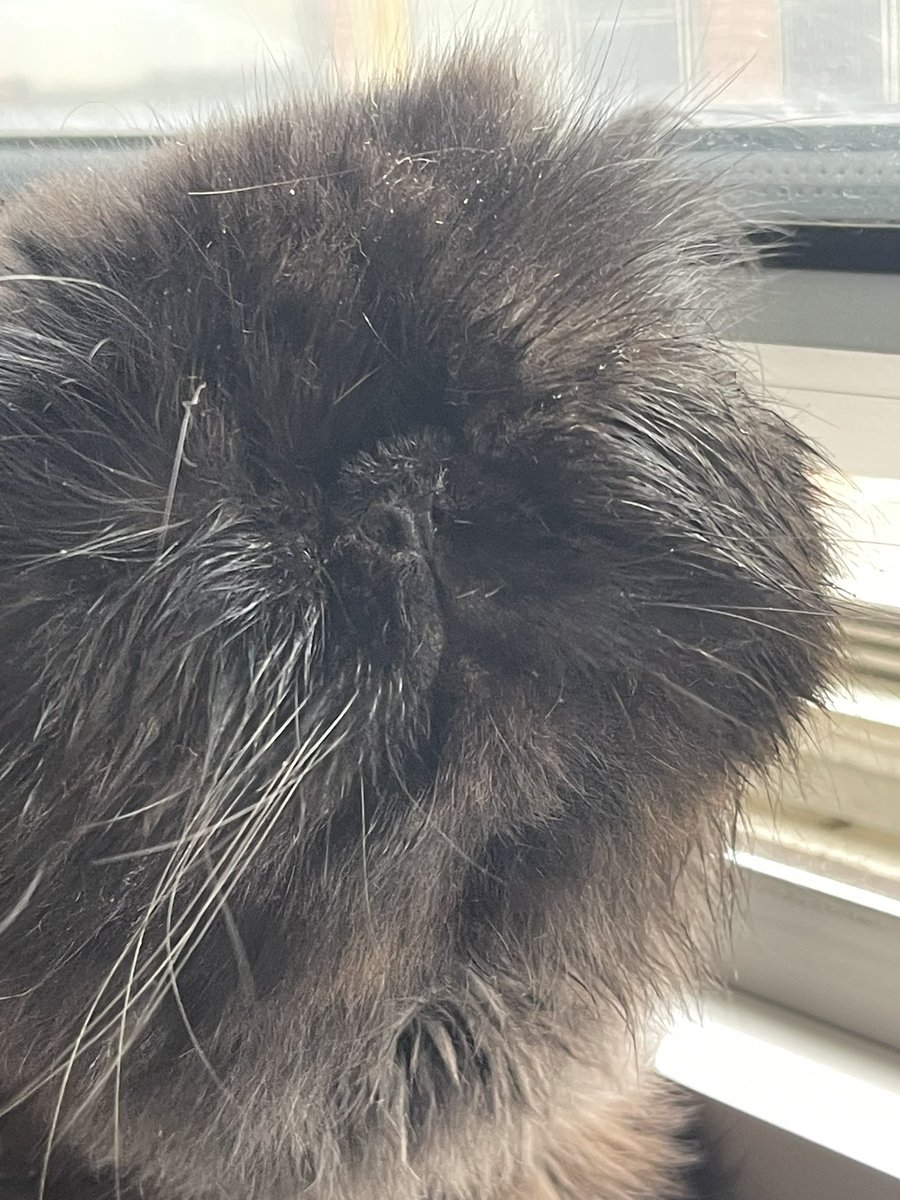 Smileng. Because I love yuo!