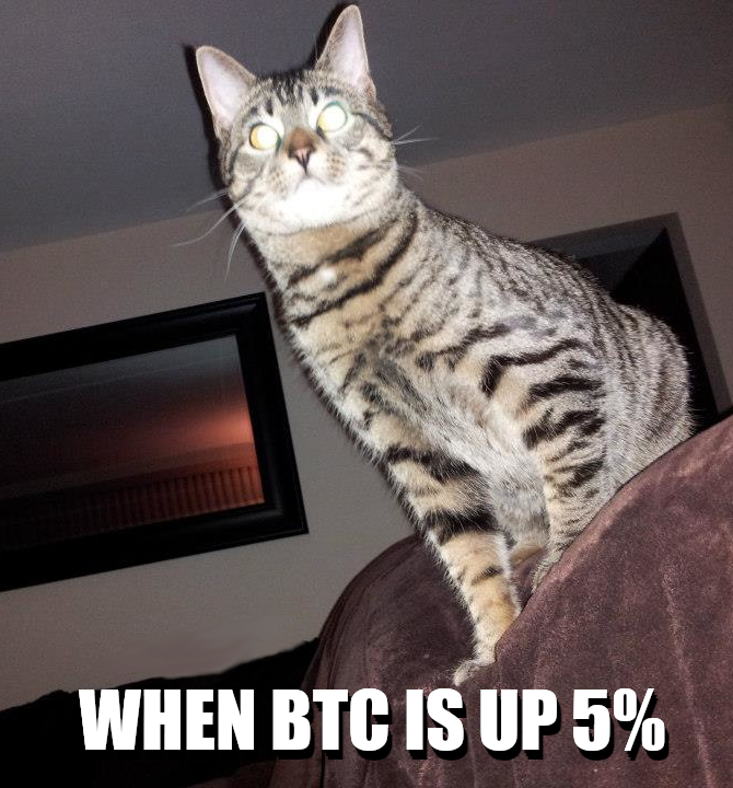 DudeCoinSol's tweet image. Whats Up $Dude? #HodlOn #DudeCoin