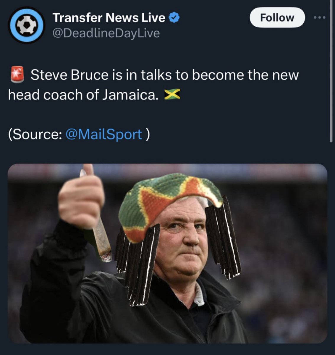 danny 🦉 tweet media