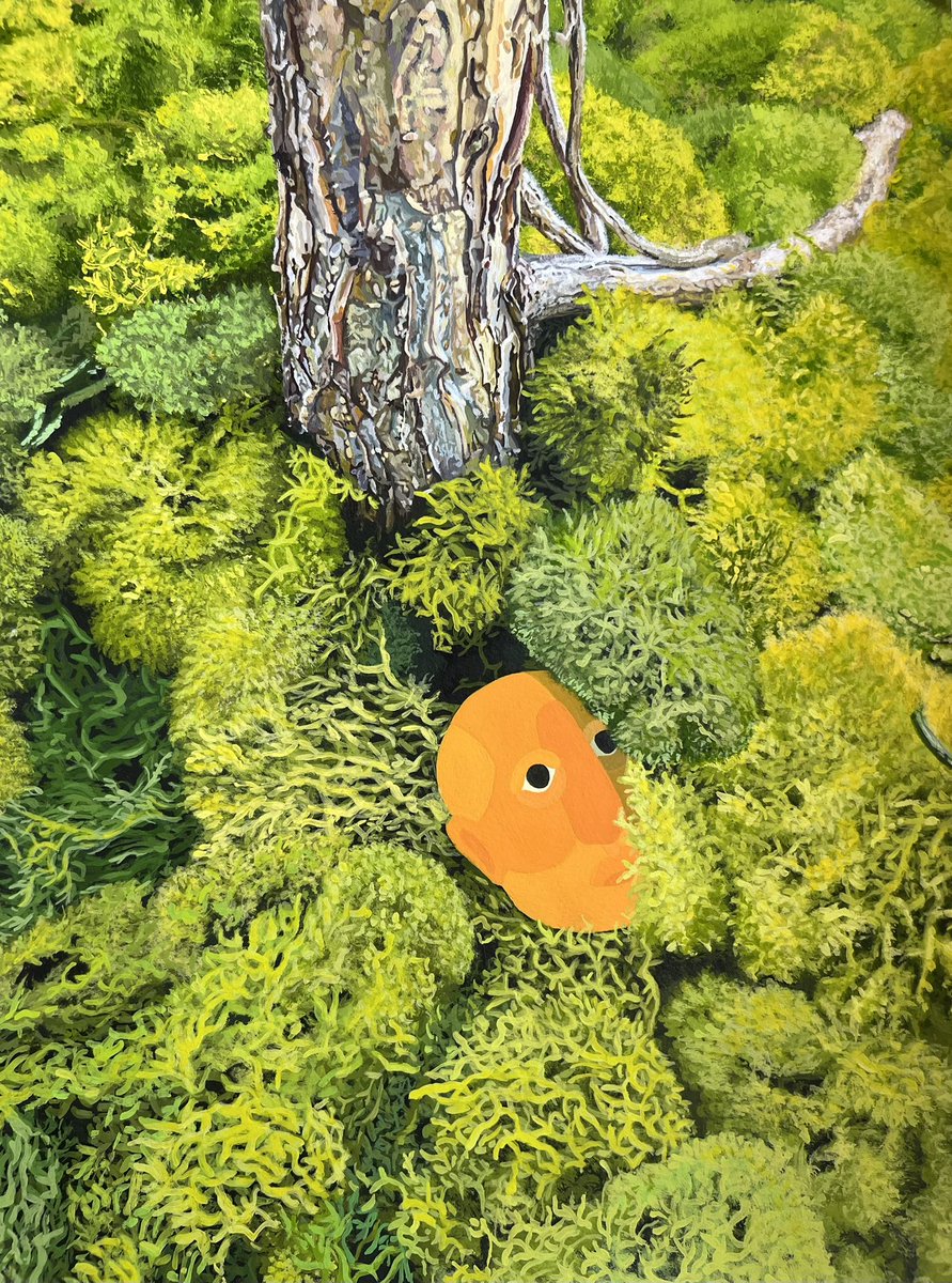 AustinMSanchez's tweet image. 