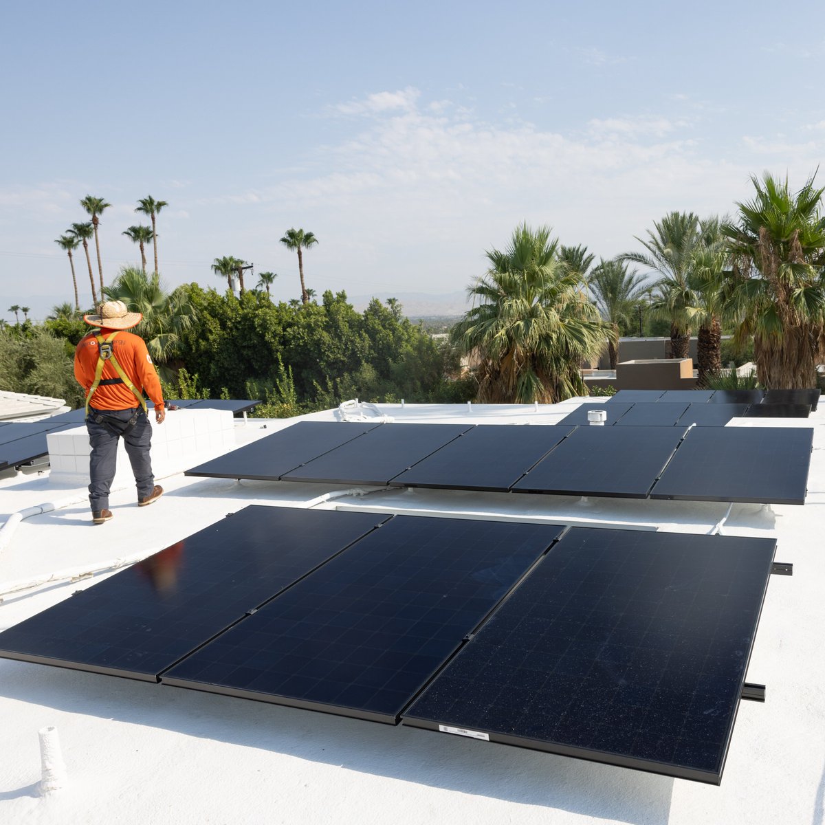 Happy Monday! The Renova team working hard to start the week as we march towards our Grand Re-Opening in Mid-August! ☀️ 
The team is available anytime to answer questions so feel free to reach out or stop by our office. Stay tuned for exciting updates throughout the week!
#Renova