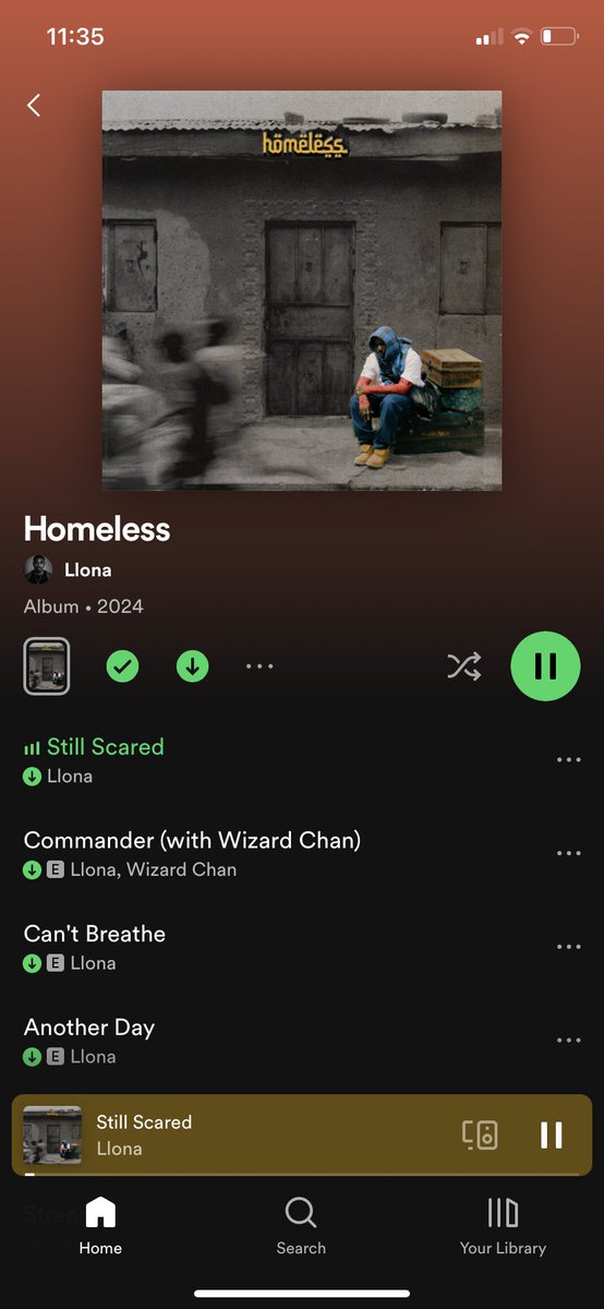 Heartache ,up for grabs 
Grief ,the price is right 
Words that echo in the lonely 
Melodies that you won’t let go off 

This sums up Llona’s Homeless project