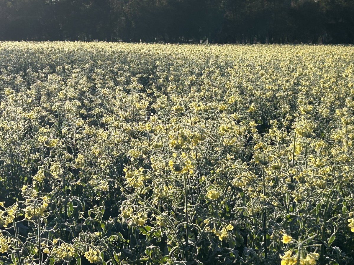 Andrew Watson tweet media