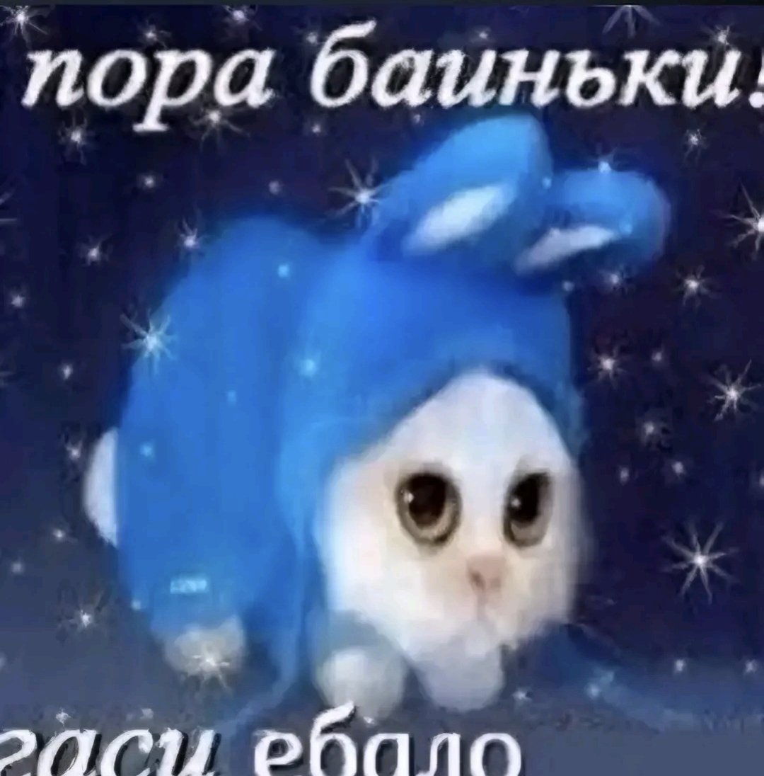 мила tweet media