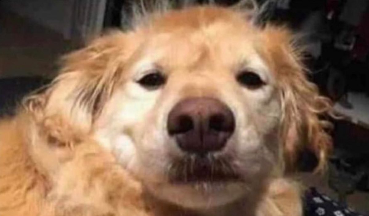 “Me voy a echar un sueñito rápido”

3 horas después despertándome sin saber ni donde estoy: