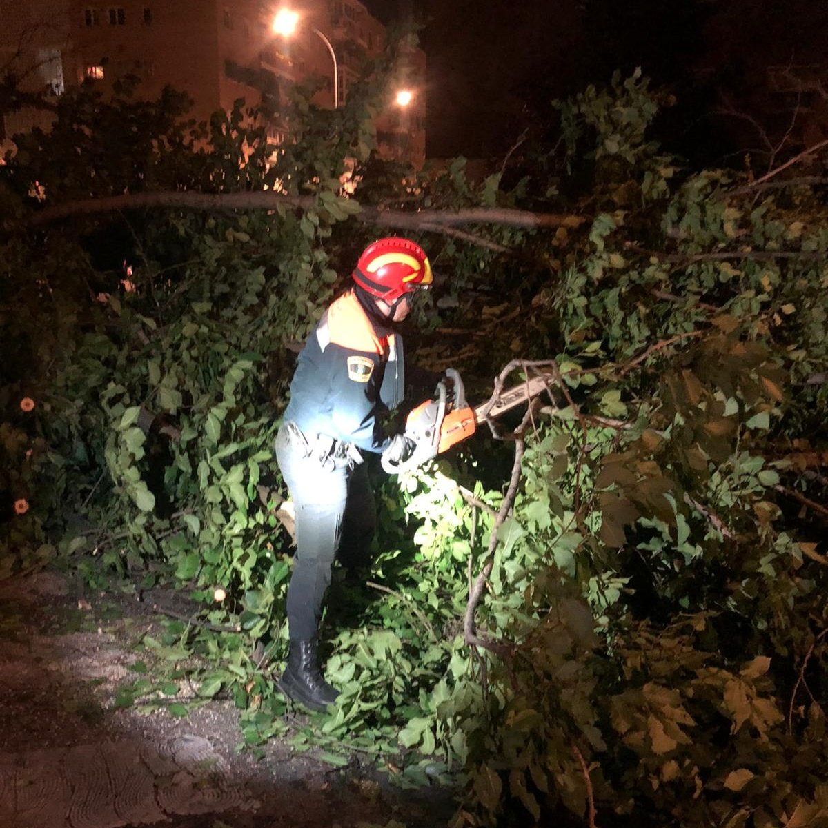 Foto cedida por Ayuntamiento de Alcalá