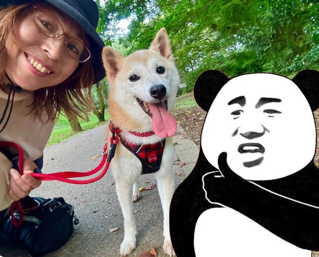 biaoerc20's tweet image. A fan wanted a picture with the most famous meme of Asia🐶

$BIAO