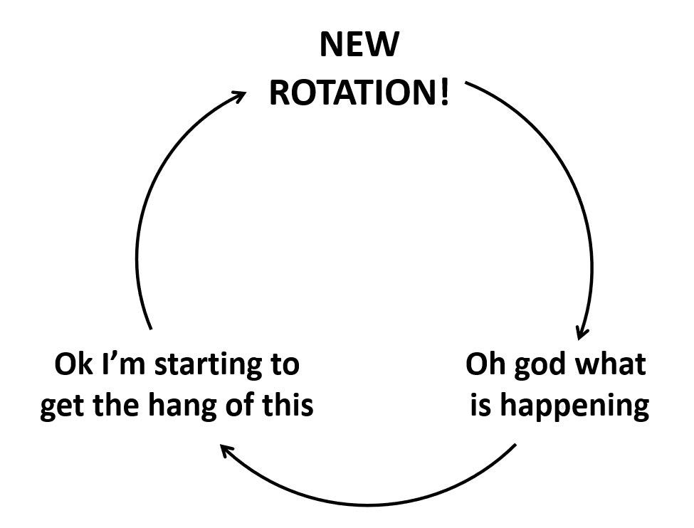 SeanDreyer's tweet photo. The Rotating Medical Student Cycle https://t.co/zABfM516iu