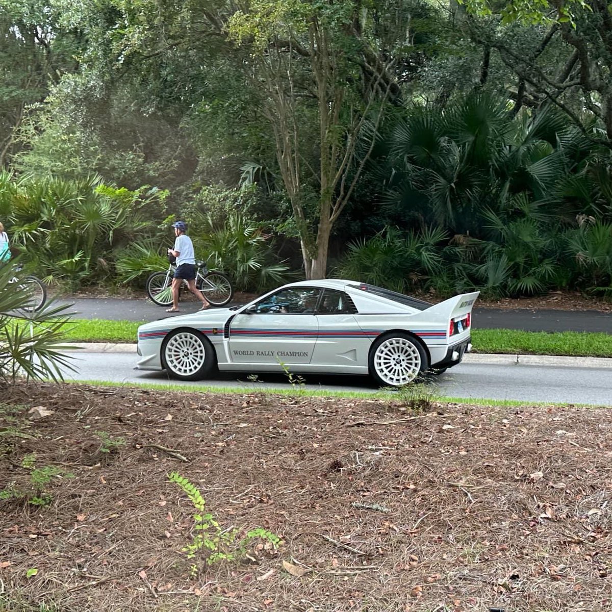 SpeedySnep (@mintysnep) on Twitter photo Holy fuck someone spotted today in the fancy part of townโฆKiawah Island.
Hngggggggg Holy fuck someone spotted today in the fancy part of townโฆKiawah Island.
Hngggggggg