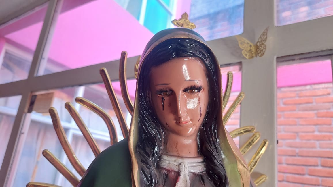 Felipe Trujillo tweet media