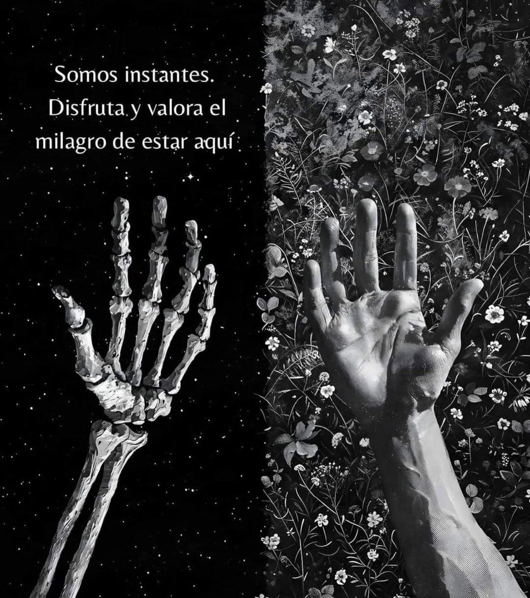 Bacchus 𓄂𓆃 ♛♜♞☥☉ (@feellg2) on Twitter photo 