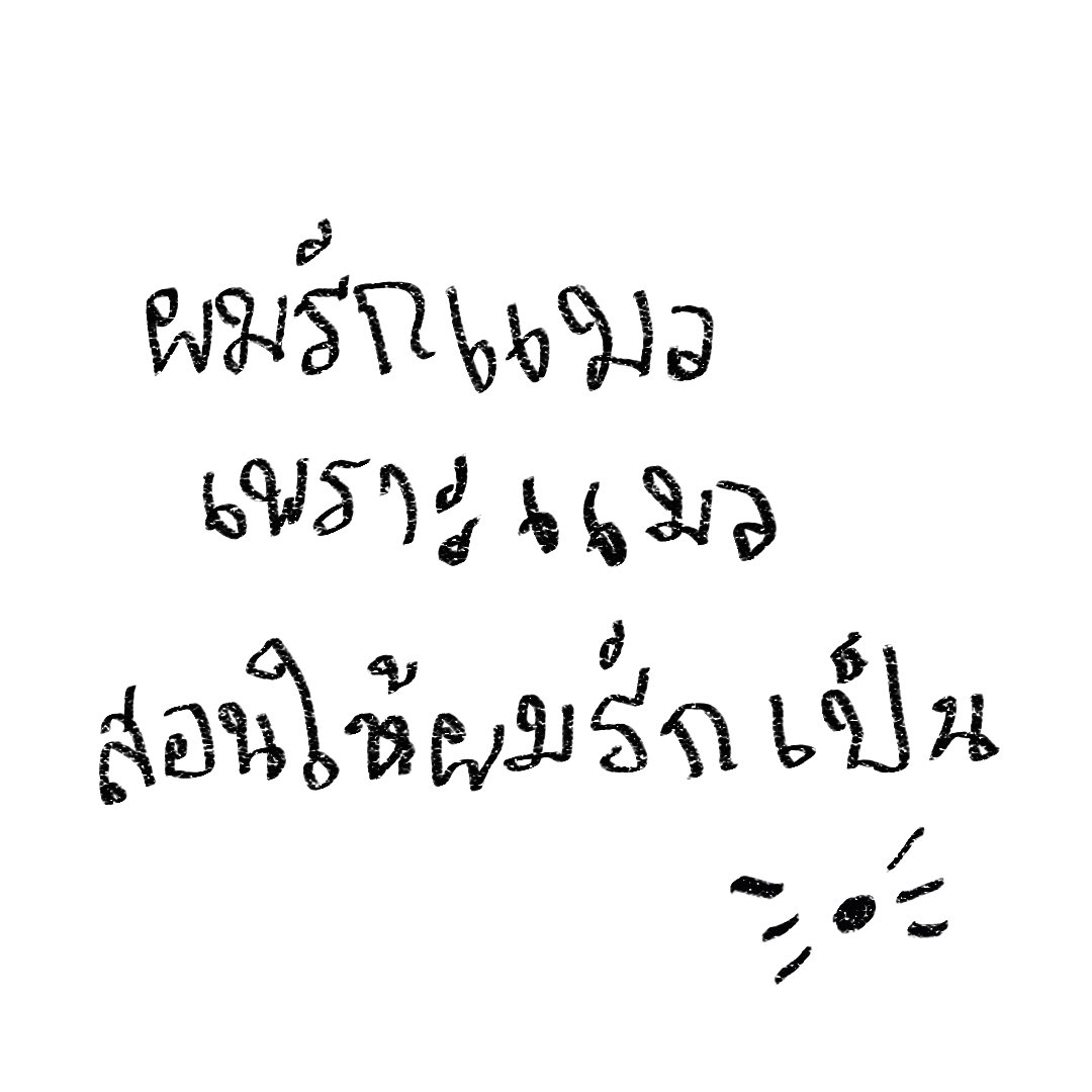 norr tweet media