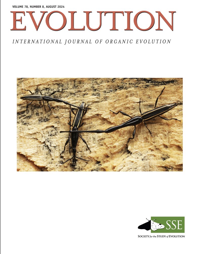 Ummat Somjee (@ummat_s) on Twitter photo Jousting weevils made the cover. Work with <a href="/SalAnzaldo/">Salvatore Anzaldo</a> and beautiful cover photo by <a href="/AztecaCecropia/">Peter Marting</a>. Also with <a href="/cpaintingnz/">Dr Chrissie Painting 🍉🏳️⚧️🏳️🌈</a>
academic.oup.com/evolut/advance… Jousting weevils made the cover. Work with <a href="/SalAnzaldo/">Salvatore Anzaldo</a> and beautiful cover photo by <a href="/AztecaCecropia/">Peter Marting</a>. Also with <a href="/cpaintingnz/">Dr Chrissie Painting 🍉🏳️⚧️🏳️🌈</a>
academic.oup.com/evolut/advance…