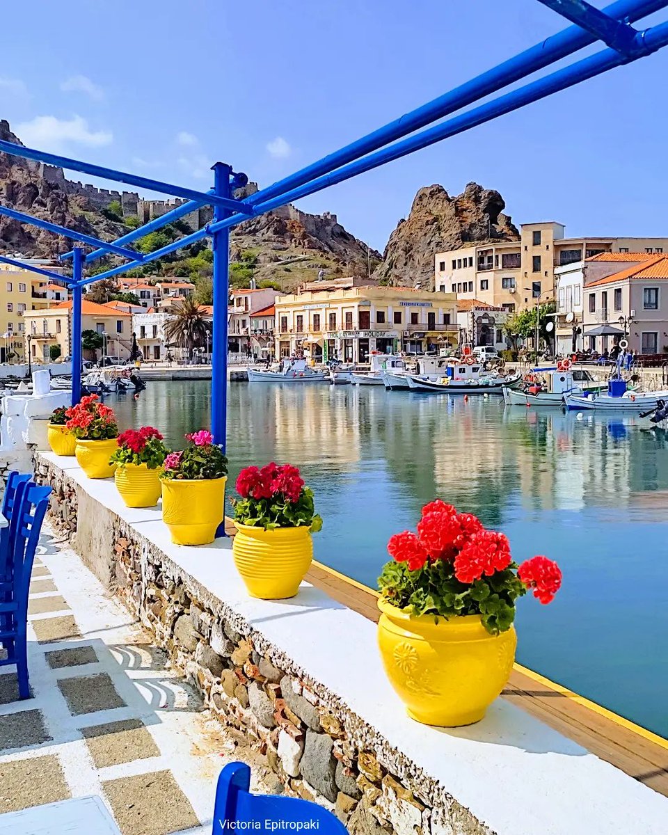 GreekPictures's tweet photo. #Myrina, the capital of #Lemnos, is built upon a bay overlooked by a Venetian castle. The city's roadways are stone paved lanes with old mariners' houses with wooden balconies and vineyards.🇬🇷
📷 victoria_epitropaki https://t.co/OjEYnNAq3f