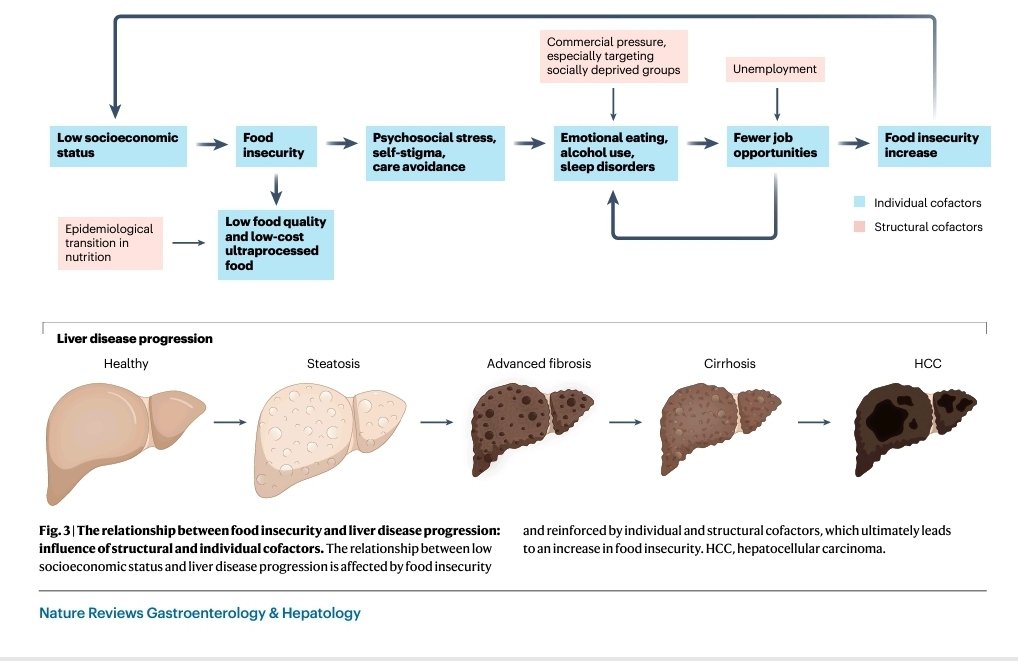 Jeffrey V. Lazarus tweet media