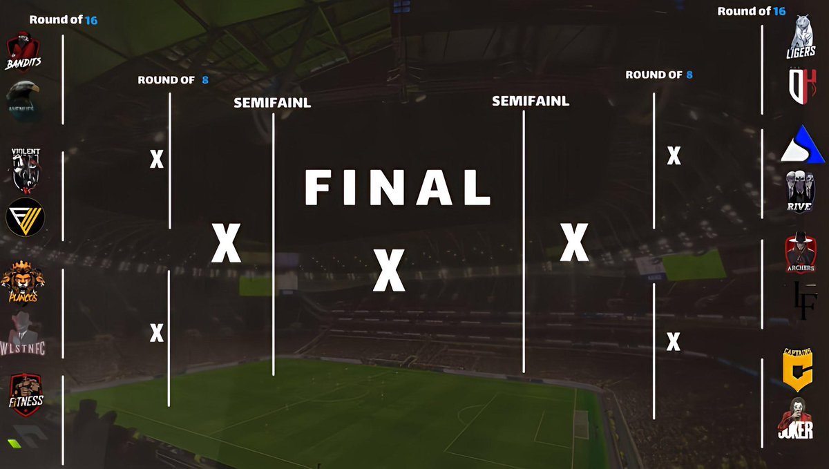 MOLT| CUP tweet media