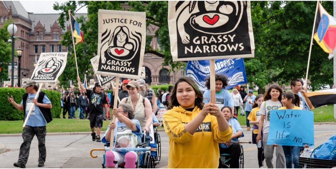 Sharon Toh Mittal (@sharonmittal) on Twitter photo ๐ฉ๐ Come show your support for Grassy Narrowsโ FIGHT for mercury justice on Sept 18th!
๐ฅThe devastating mercury crisis has persisted for decades, ever since 9 tonnes of mercury was dumped in the Wabigoon-English River ๐ FreeGrassy.net for Info <a href="/FreeGrassy/">Free Grassy</a> โ๐ฝ ๐ฉ๐ Come show your support for Grassy Narrowsโ FIGHT for mercury justice on Sept 18th!
๐ฅThe devastating mercury crisis has persisted for decades, ever since 9 tonnes of mercury was dumped in the Wabigoon-English River ๐ FreeGrassy.net for Info <a href="/FreeGrassy/">Free Grassy</a> โ๐ฝ