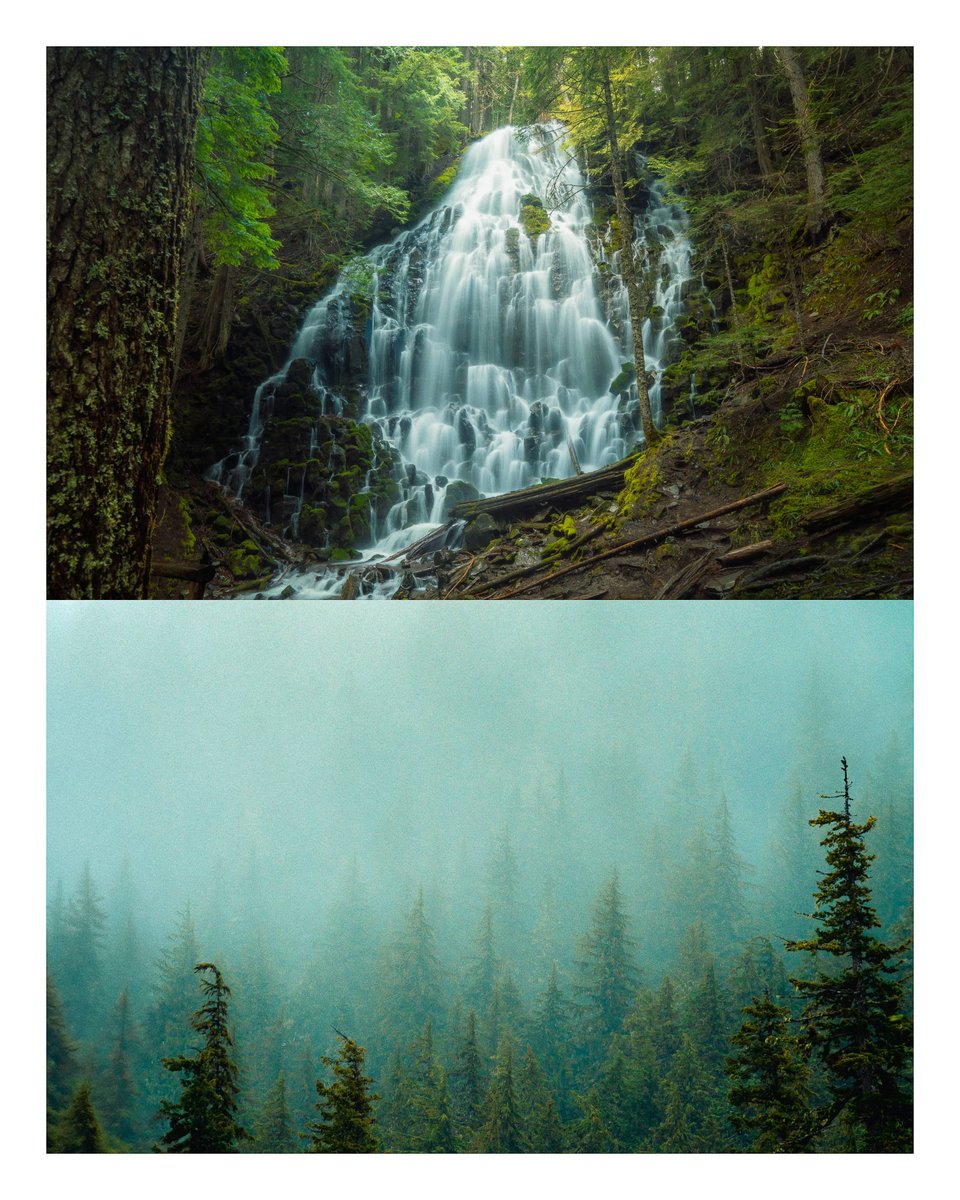 Jeff Mihaly tweet media