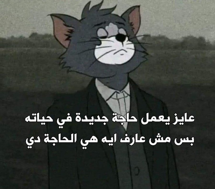 True Memes (@truememes_) on Twitter photo 