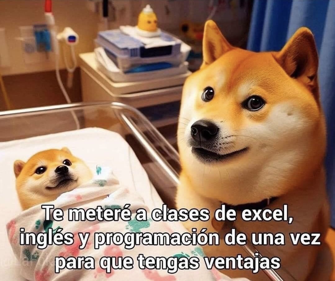 El Guarromántico tweet media