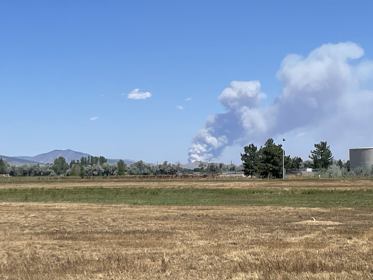 /var/log/DerKruser tweet media