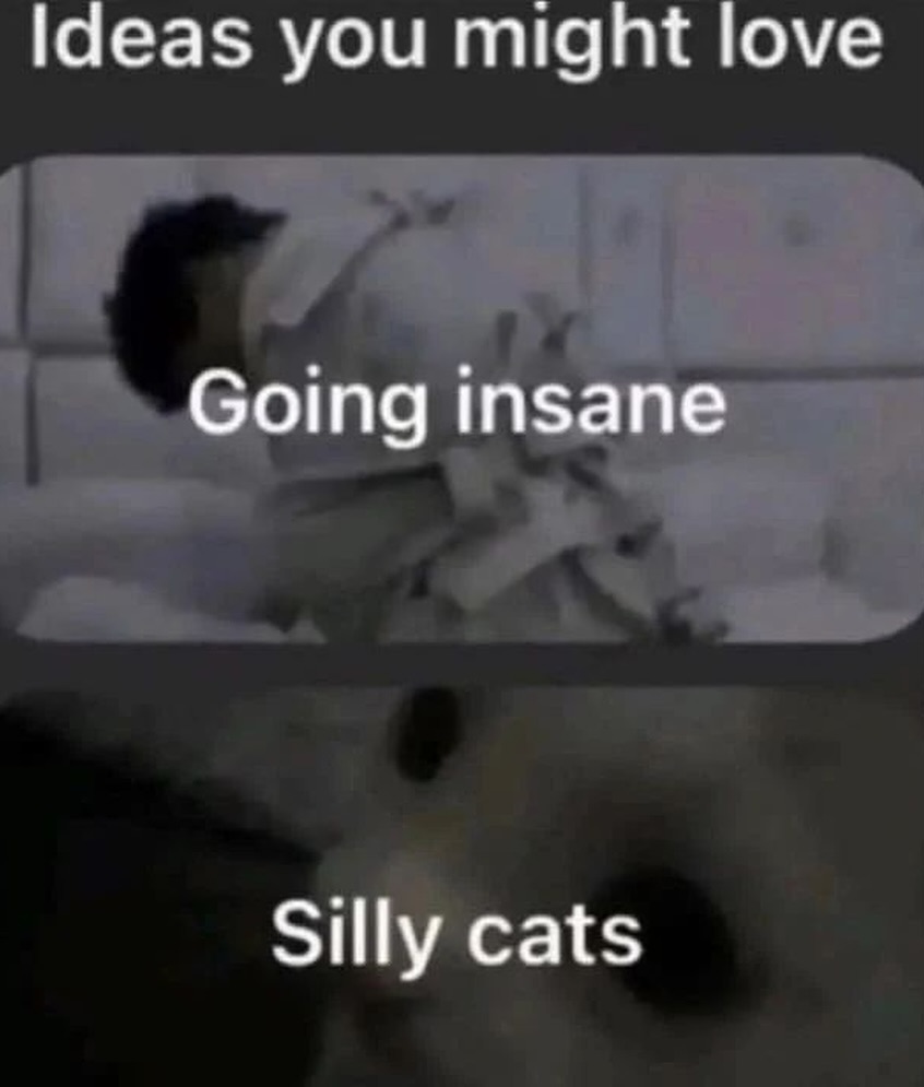 smol silly cat tweet media