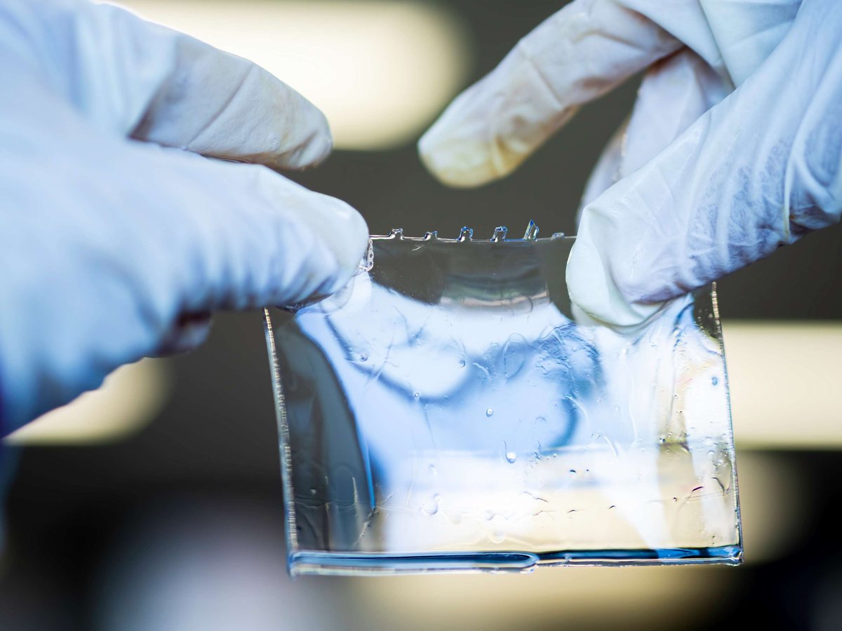 Read more on the potential effects of #AntimicrobialResistance in our latest foresight report. horizons.service.canada.ca/en/2024/07/18/… #AMR