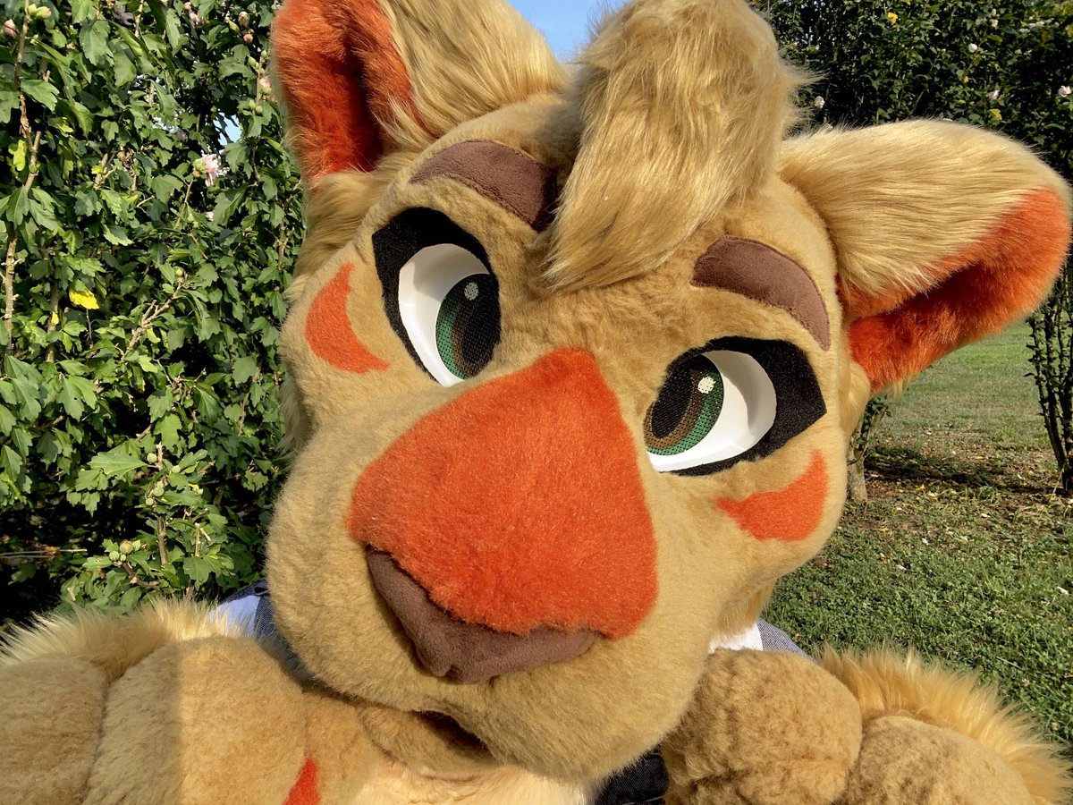 PMCsuits's tweet image. Some customer photos from Haven!! 

Photo credit/Havens owner is Amber Marion on FB❤️