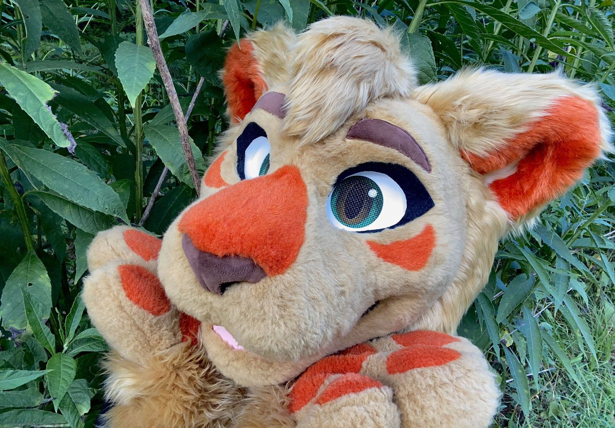 PMCsuits's tweet image. Some customer photos from Haven!! 

Photo credit/Havens owner is Amber Marion on FB❤️