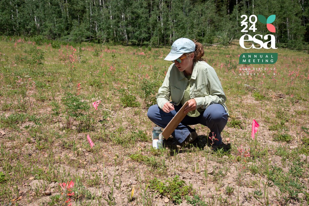 UStateScience's tweet photo. #ESA2024 USU ecologist Emily Burgess explores #climateimpacts on #mountainplant-#microbialinteractions Mon, Aug 5, Climate Change: Plants 1 Session 1:30-3 pm PDT, Room 201A, Long Beach Convention Ctr @ESA_org @research_usu @USU_gradschool Read more: https://t.co/SGJp4wfotW https://t.co/oDSiQTv3ch