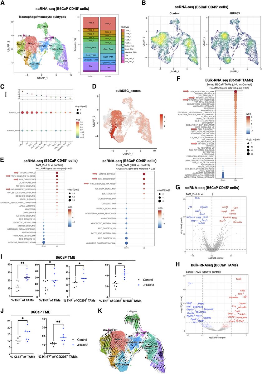 Cancer Immunology Research tweet media
