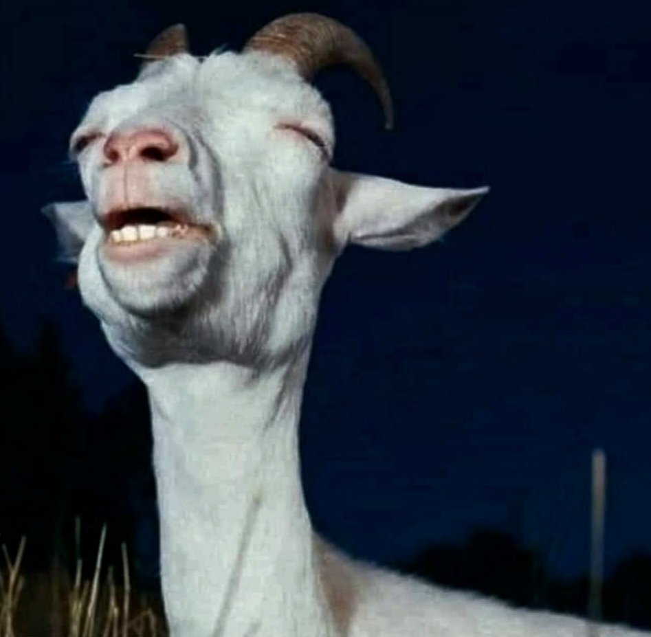 🔥Ya tenemos canal oficial de SAUROM en WhatsApp para estar al tanto de todas las novedades, conciertos, estrenos, concursos, venta de entradas, instrucciones de cómo hacer Círculos Juglares y demás en: whatsapp.com/channel/0029Va…

🤘🏻¡Te esperamos!🤘🏻

#Saurom #WhatsApp #juglares