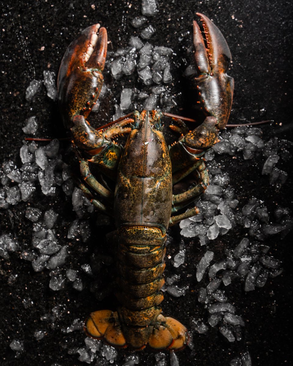 Fresh from the sea, off to your table.