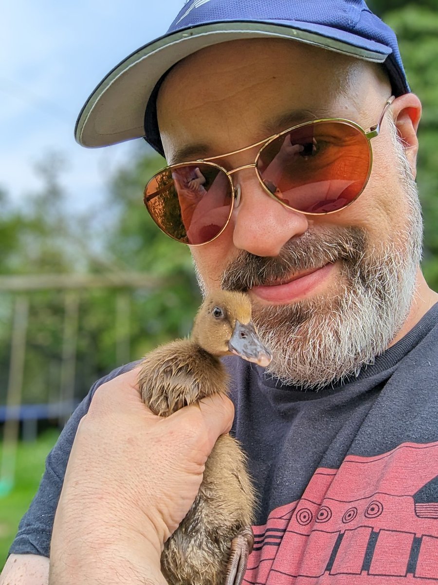 Stephen Howell tweet media