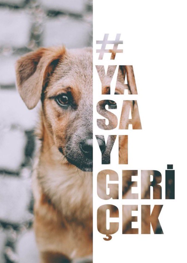 YASAYI GERİ ÇEK
Ölüm oylanamaz!