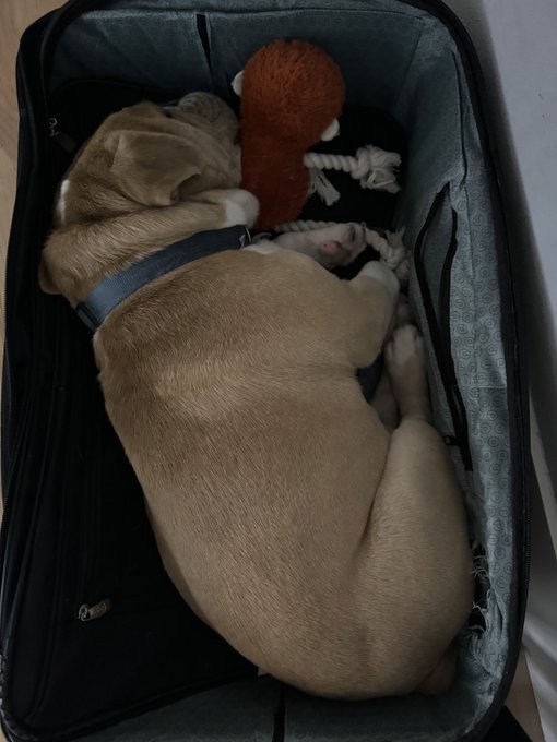 Welp&hellip; https://t.co/gxhvUojvS5<a href="/tag/shacarririchardson"class="tags"><span>#shacarririchardson</span></a>