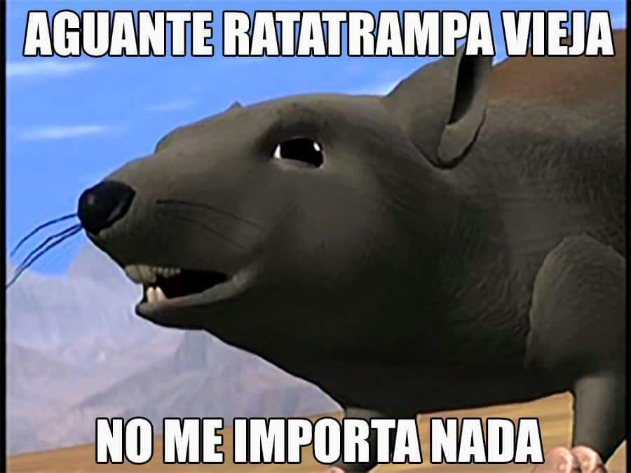 JuanmaLaVolpe's tweet photo. https://t.co/tPDce70tvL