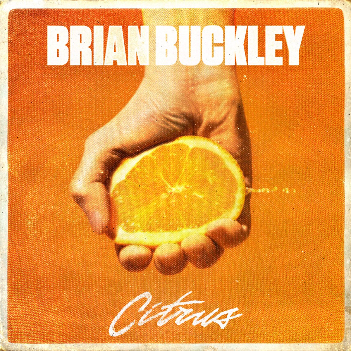 Brian Buckley Band tweet media