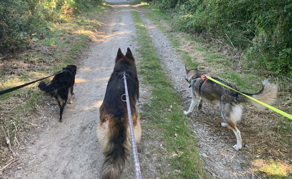 Je ne peux pas rester (que) sur la (les) dernière(s) de mon Raska avec ses doudous!! 😍😍😍
Les balades avec les copains c’est important quand même 😍

Oui oui… je suis gaga…
