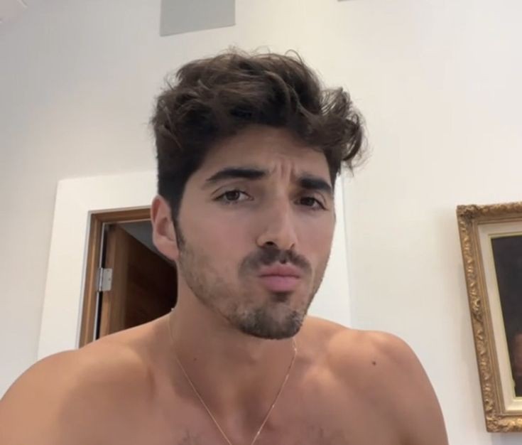 golden retriever tzp (@retrievertay) on Twitter photo 