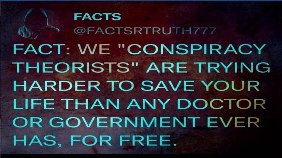 Niclas Q tweet media