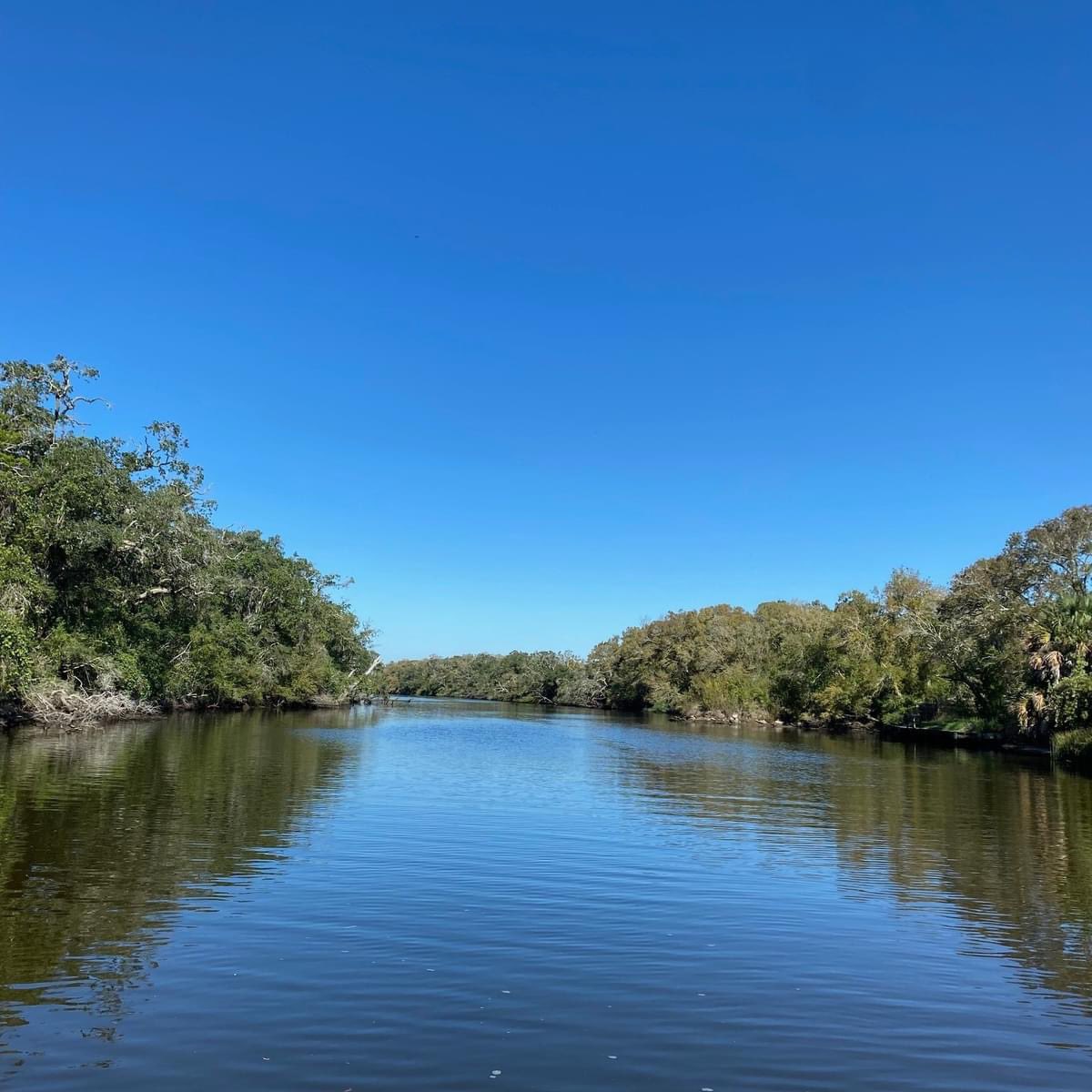 Coastal Conservation and Restoration Ecology Lab tweet media