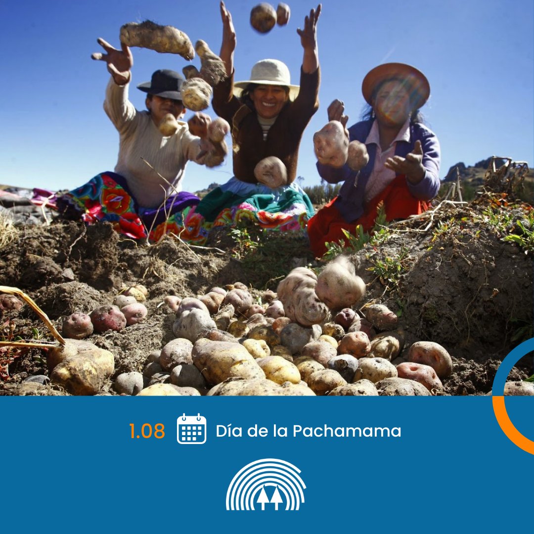🔵La tierra es un ser vivo propiciador de experiencias colectivas, no un mero instrumento económico. Es tarea de estos tiempos recuperar el carácter social de la tierra, cuidarla y valorarla como la fuente de nuestros alimentos.