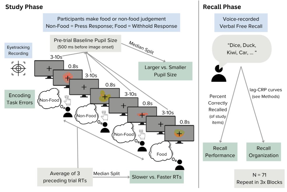 Mariam Aly tweet media